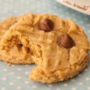 Peanut butter cookie on a tray