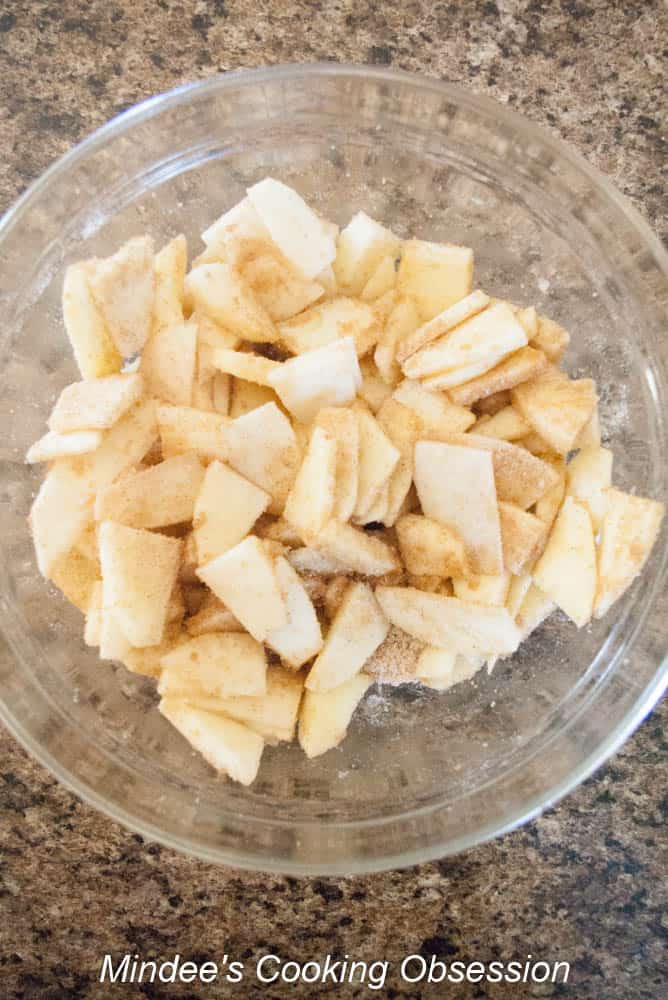 Apple slices tossed with cinnamon sugar.