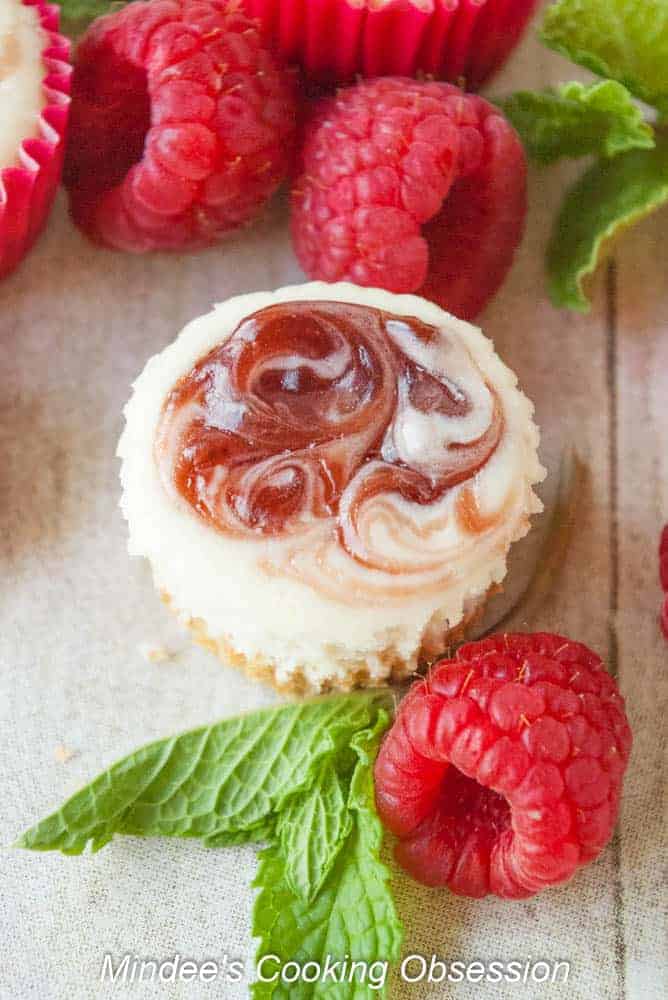 Raspberry Swirl Cheesecake Bites- beautiful bite sized cheesecakes! Perfect for any occasion! 