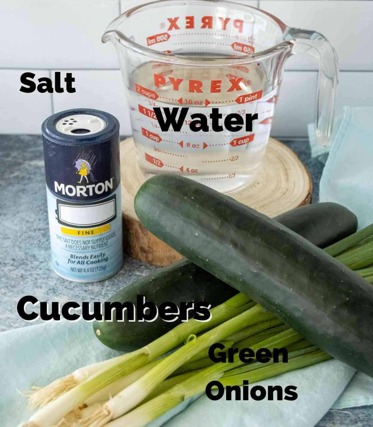 Ingredients for salty cucumbers.