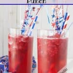Tropical Party Punch Pinnable Image