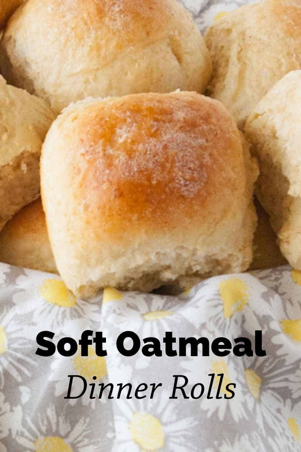 Soft Oatmeal Dinner Rolls Mindee's Cooking Obsession