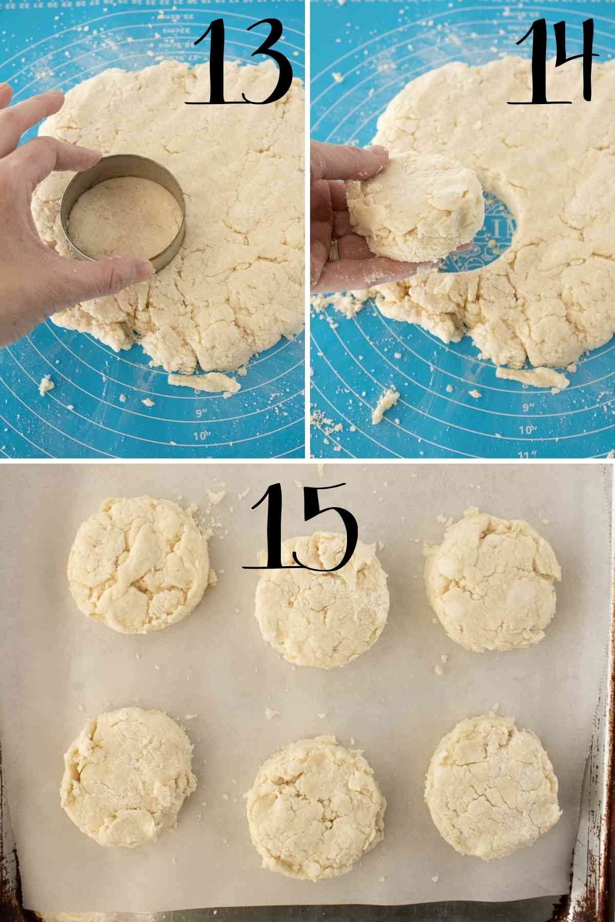 Cut out biscuits by pressing the cutter straight down without twisting.