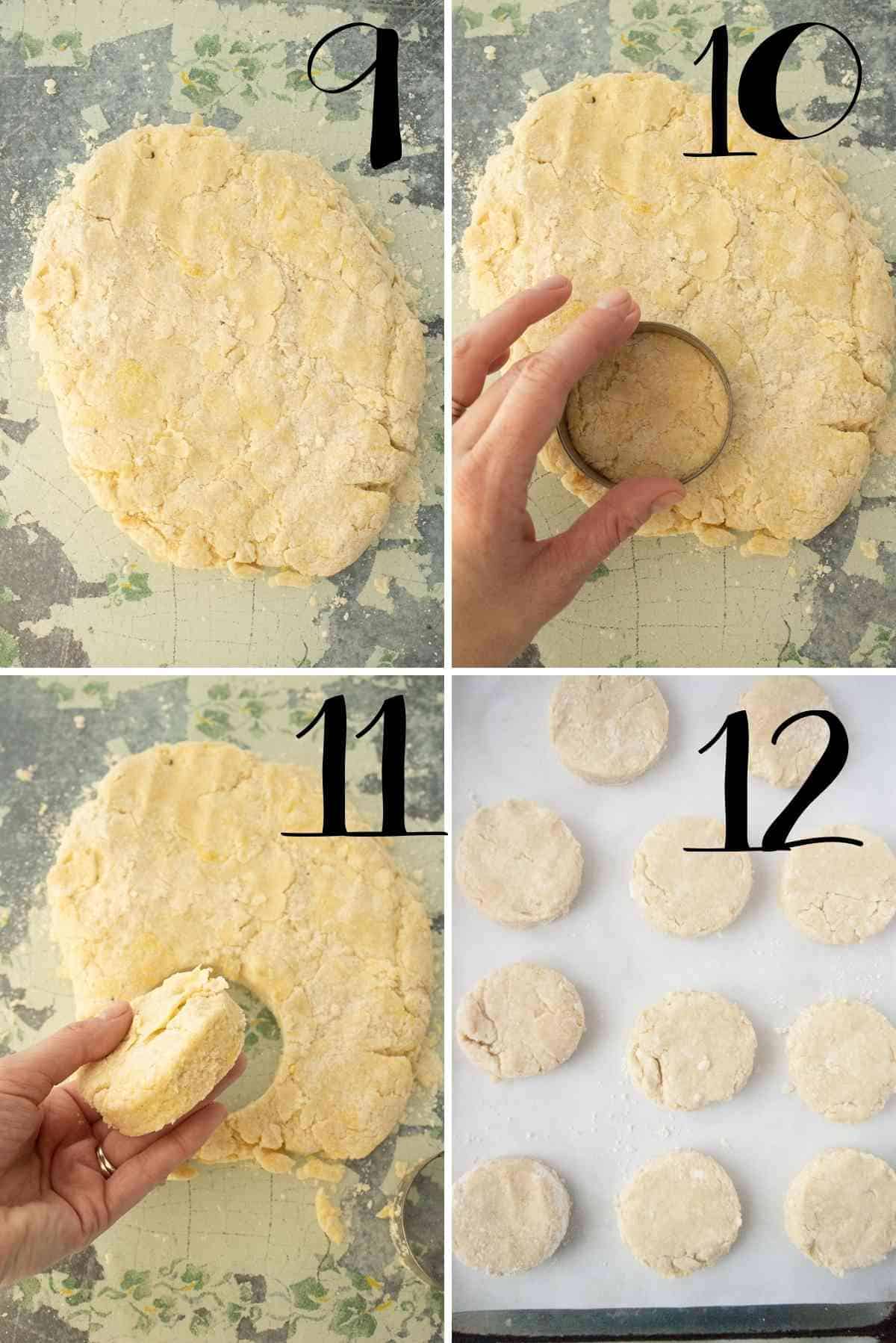 Dough patted out, cut into circles and put on a baking sheet.