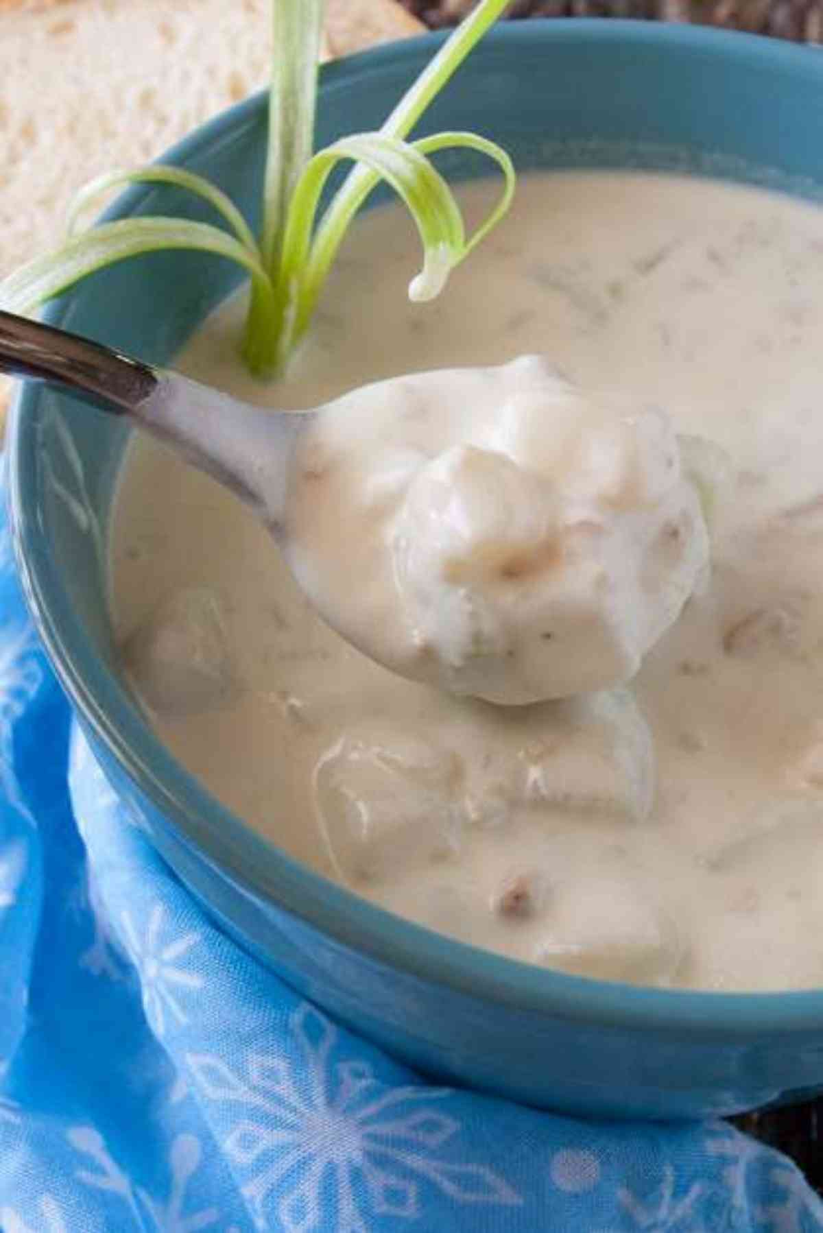 A spoonful of clam chowder.