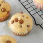 Baked chocolate chip muffins.