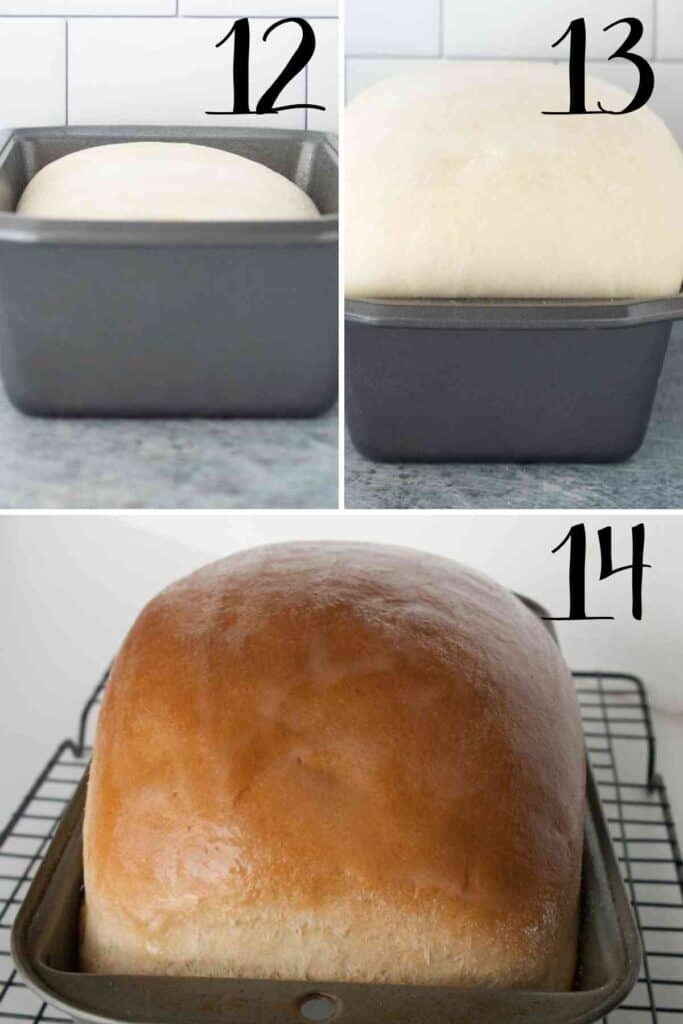 Pictures showing the height of the unbaked bread loaf in the pan before and after rising.