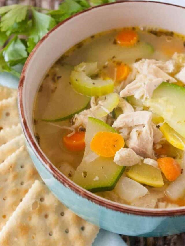 Garden Vegetable Chicken Soup Story