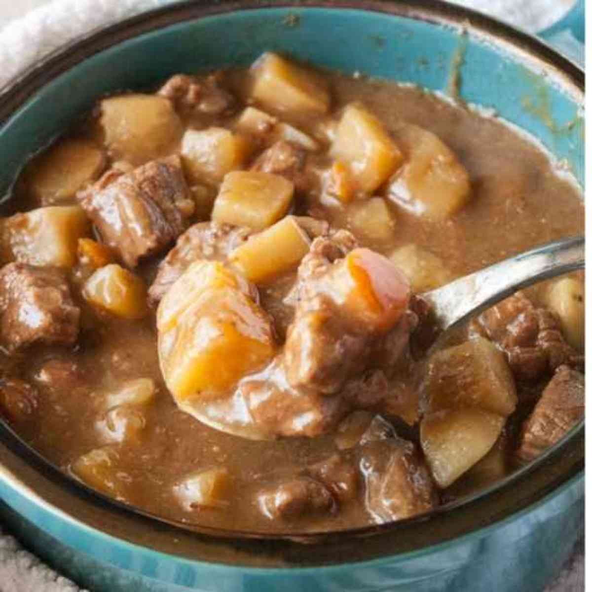 Big bowl of beef stew
