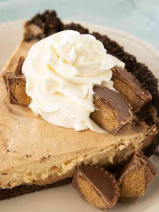 Ultimate Chocolate Peanut Butter Pie