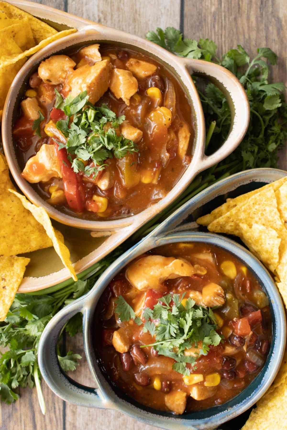 Serve this tasty recipe with chips and cilantro!