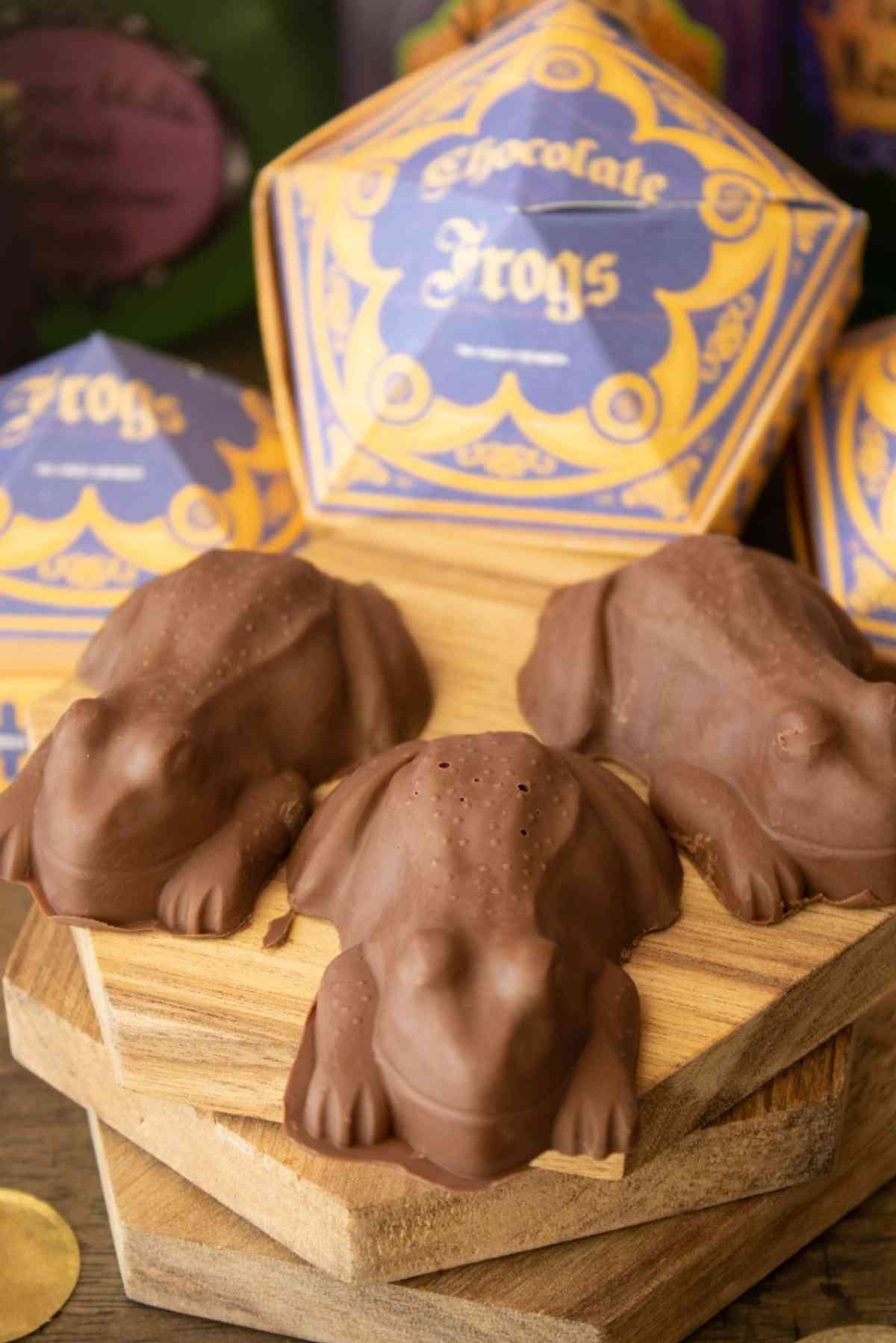 Harry Potter Chocolate Frog Original Candy Company