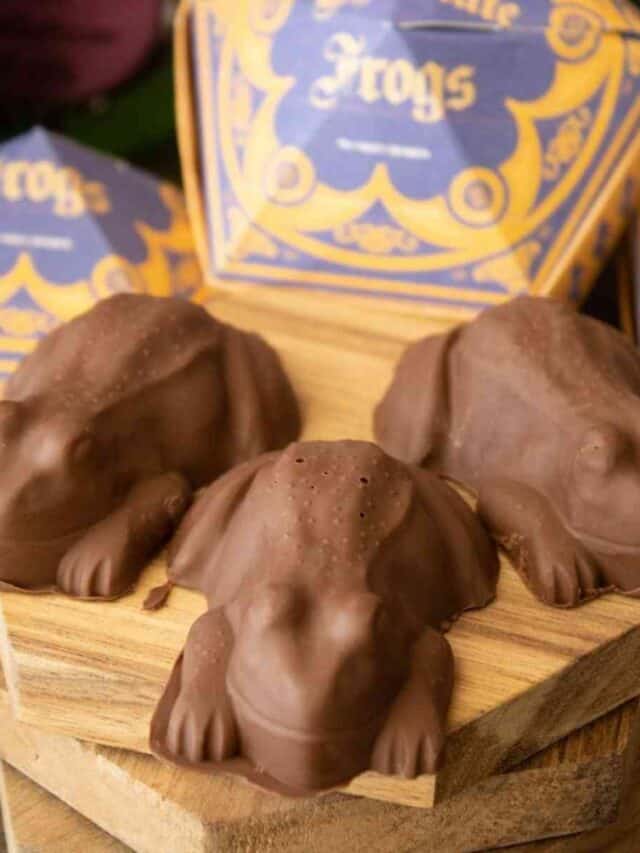 Harry Potter Chocolate Frogs Story