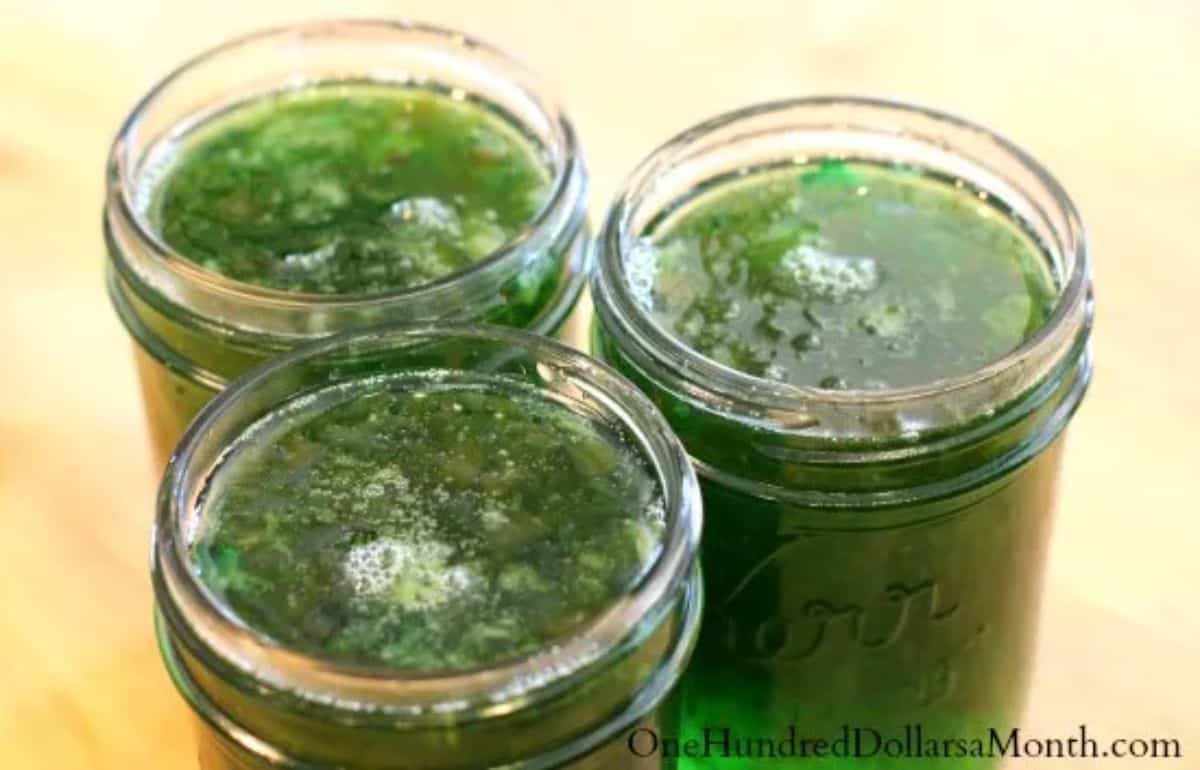 Mint Jelly in three glass jars.