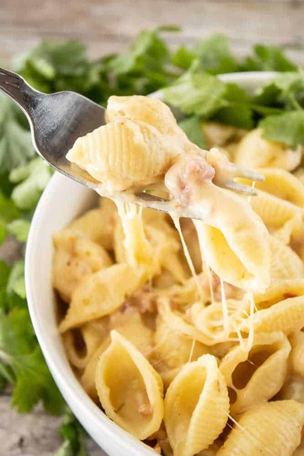 Instant Pot Spicy Mac and Cheese in a white bowl picked with a fork.