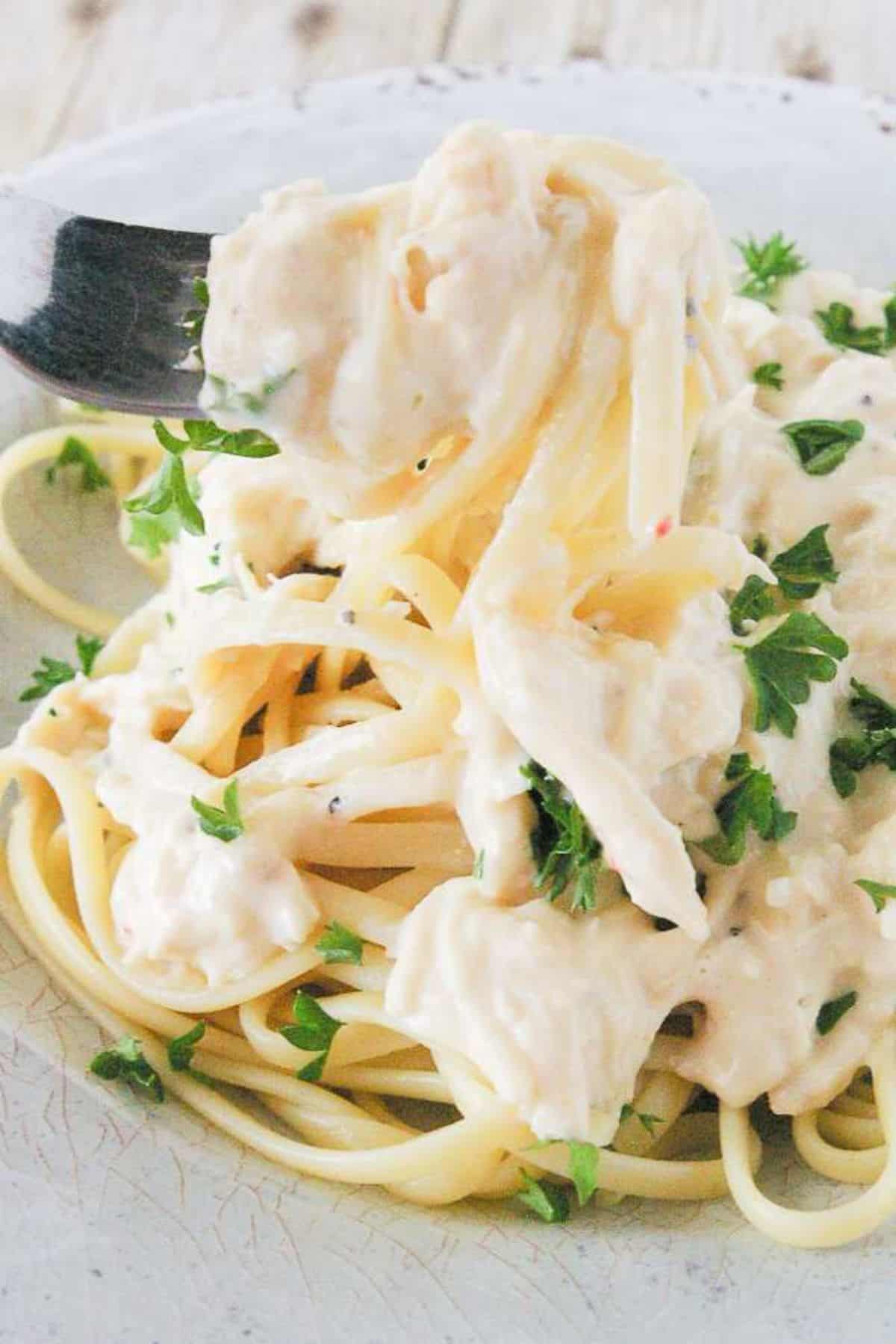 Slow Cooker Chicken Alfredo on a gray plate and picked with a fork.