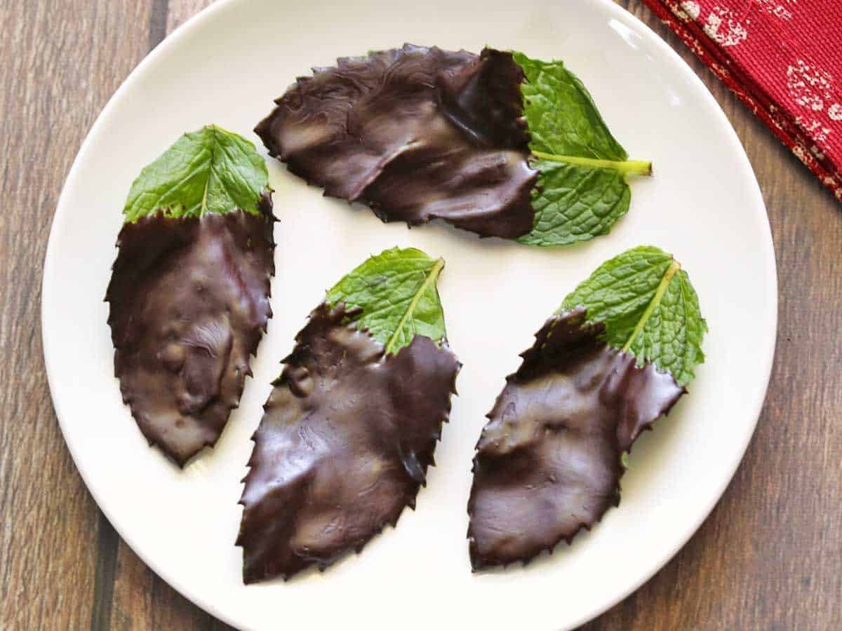 Chocolate Mint Leaves on a white plate.