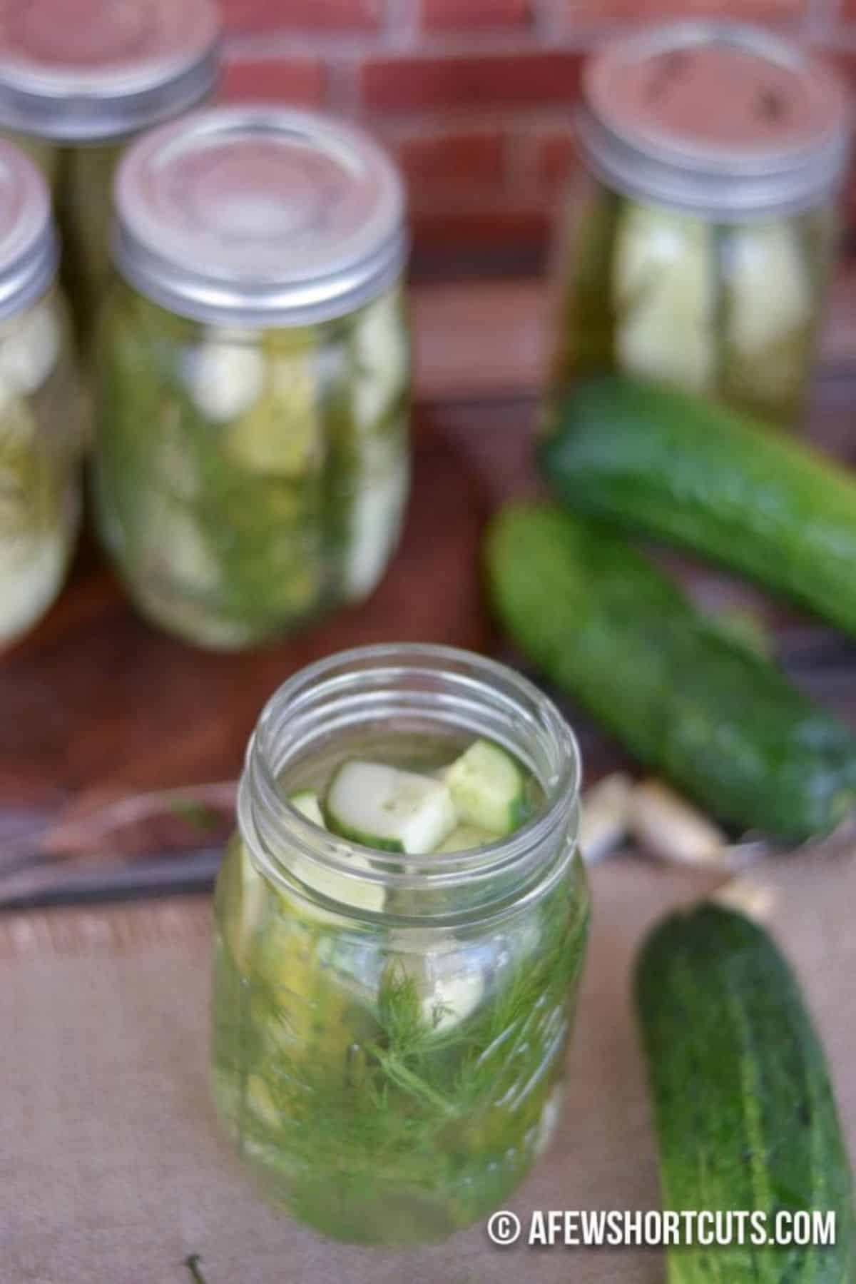 Garlic Dill Pickles in glass jars.
