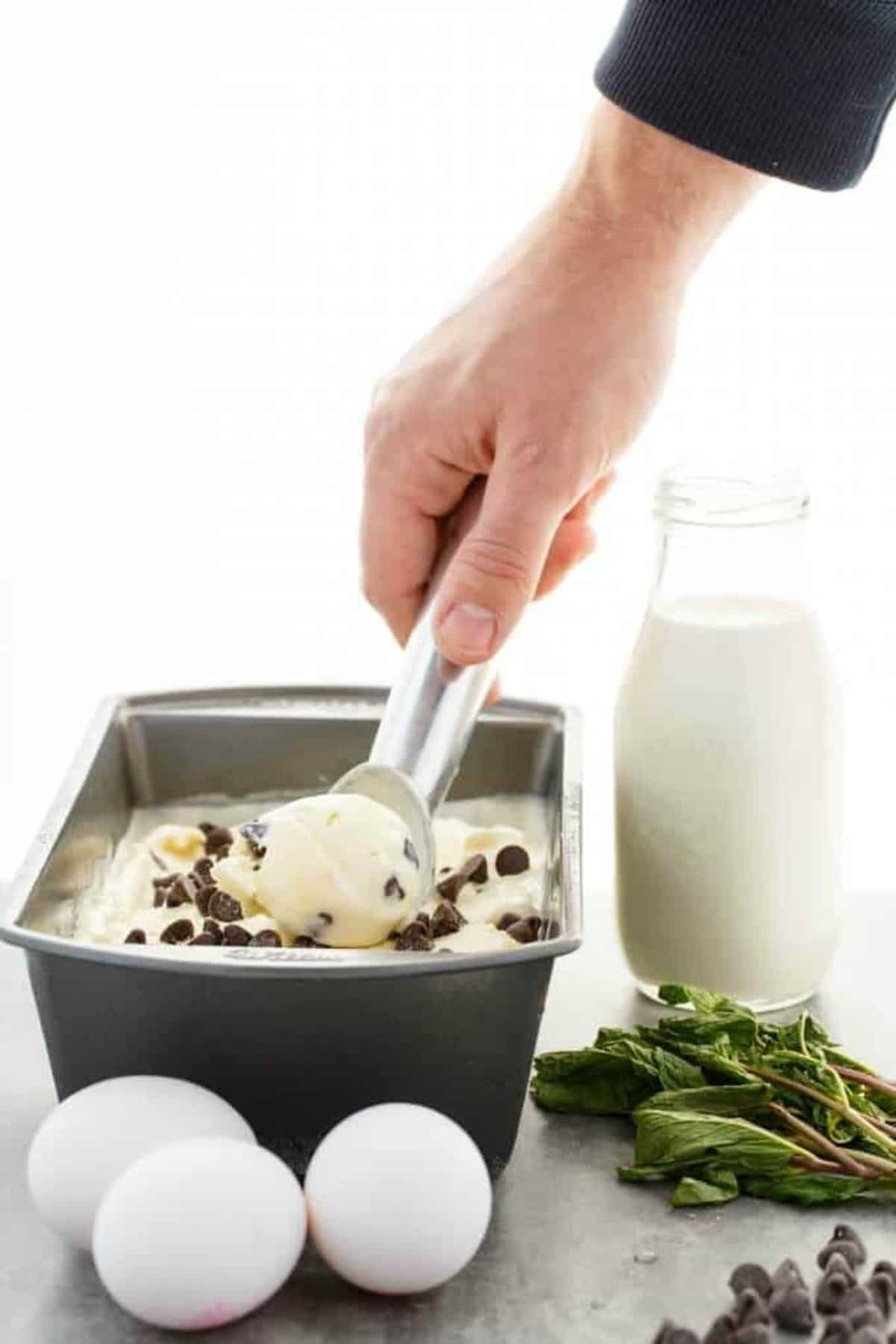 Homemade Fresh Mint Chocolate Chip Ice Cream picked with a spoon.