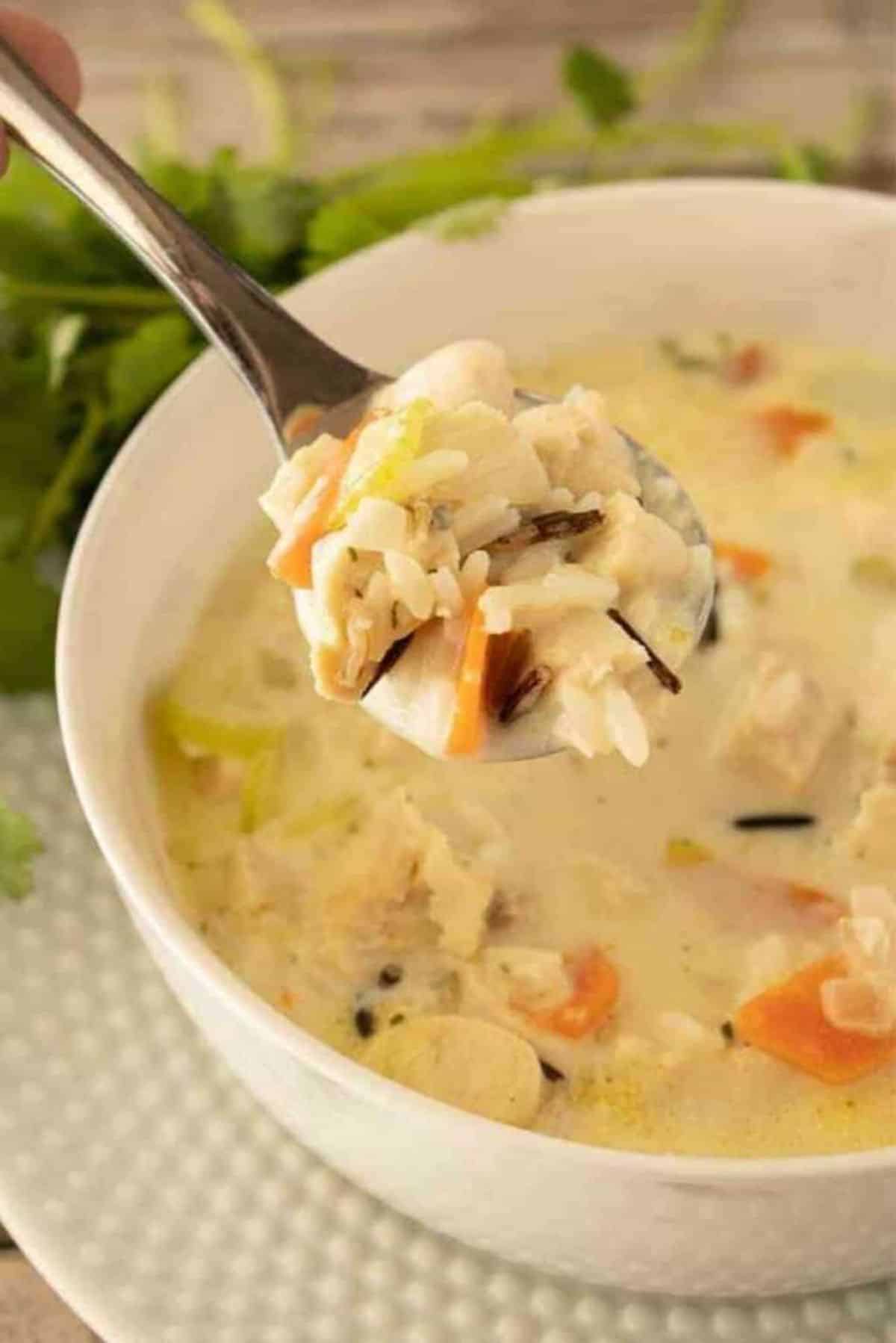 Delicious Creamy Chicken Wild Rice Soup in a white bowl and on a spoon.
