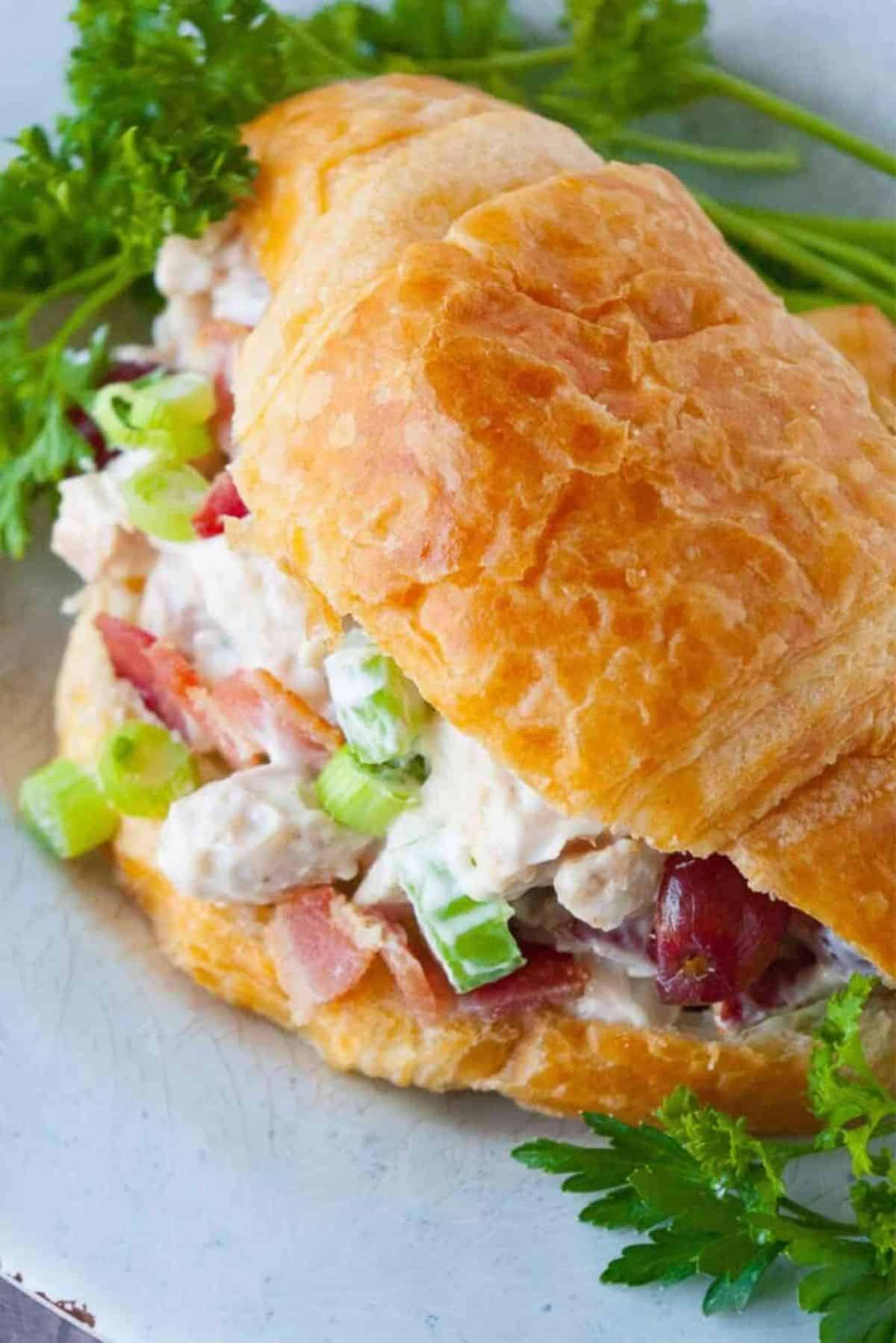 Tasty Chicken Salad Croissant Sandwich on a white plate.