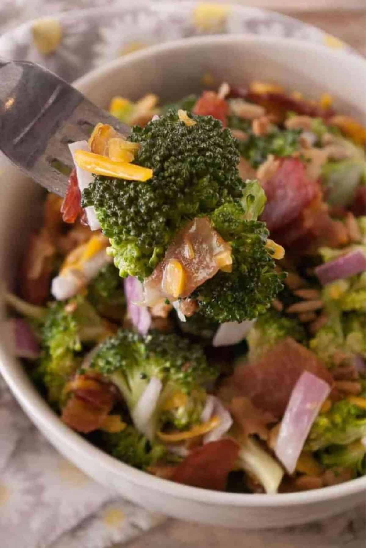 Healthy Tangy Broccoli Salad in a white bowl and picked on a fork.