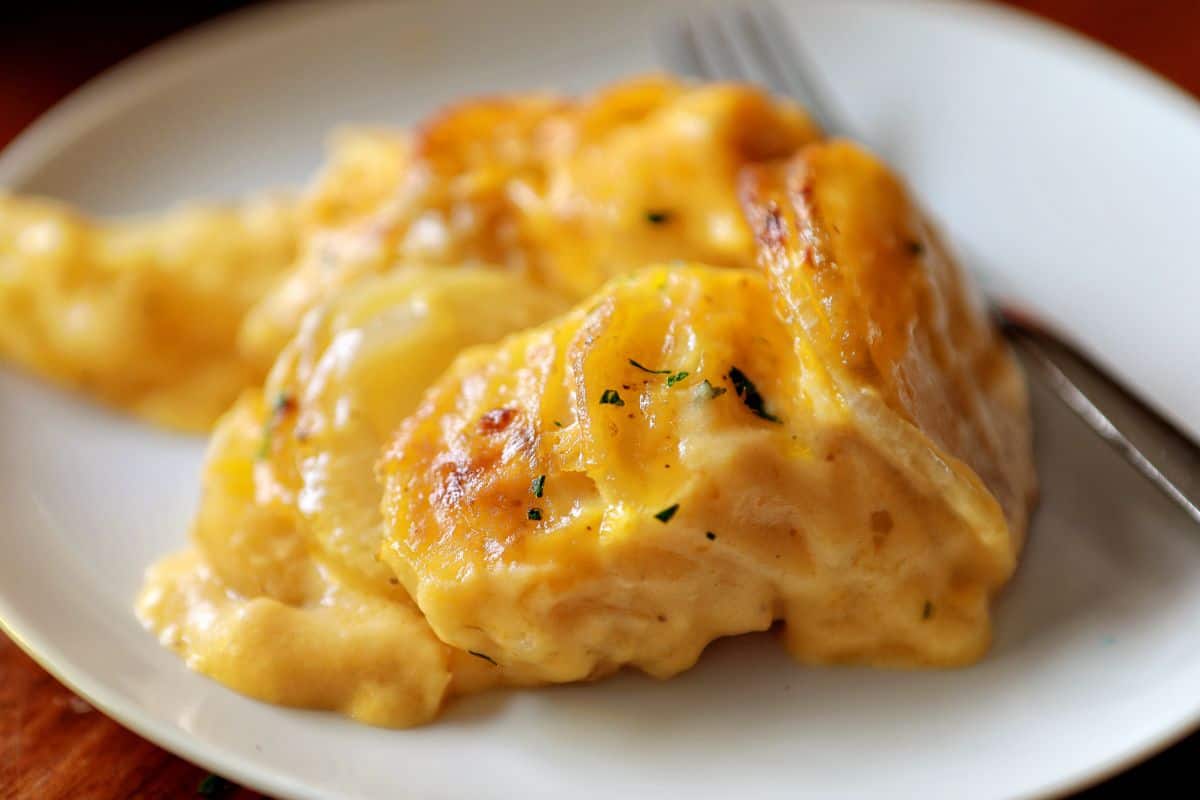 Juicy Cheesy Scalloped Potatoes on a white plate with a fork.